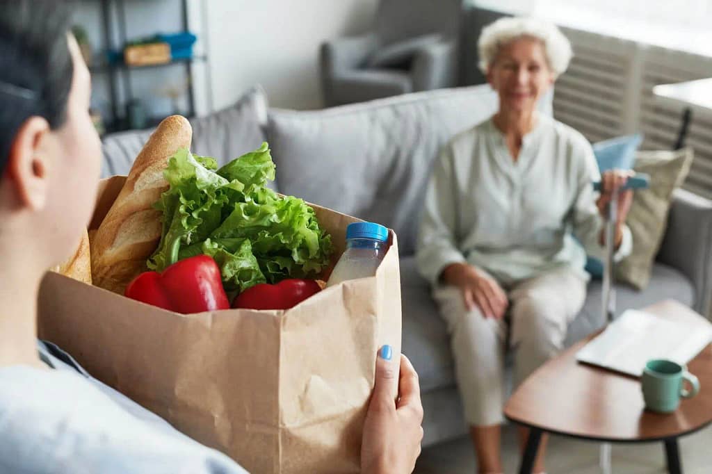 homemaker and companion, osceola county, group home